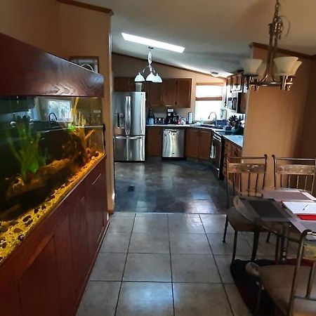 סביירוויל Private Pet Friendly Home Near Exotic Deer Farm Close To Pigeon Forge, Gatlinburg Tn מראה חיצוני תמונה