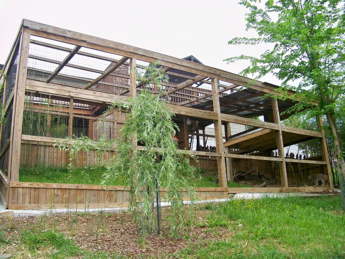סביירוויל Private Pet Friendly Home Near Exotic Deer Farm Close To Pigeon Forge, Gatlinburg Tn מראה חיצוני תמונה